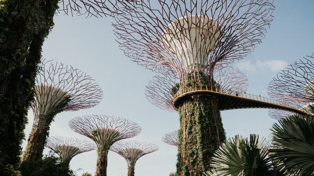 Singapore Singapore